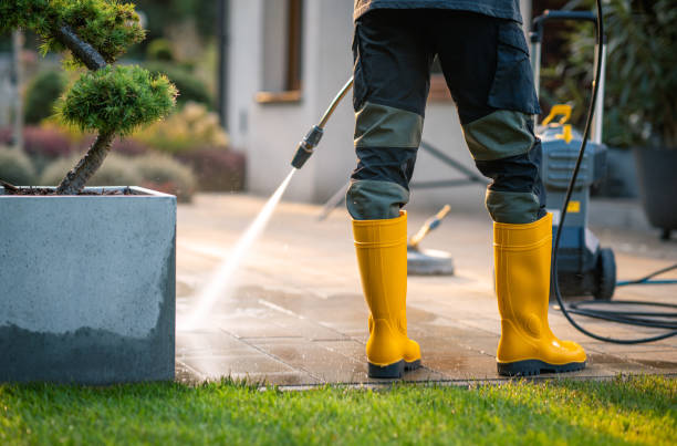 Best Pressure Washing Near Me  in Cedar Park, TX
